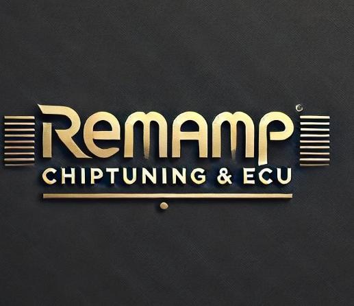 Remamp Ecu Beyin
